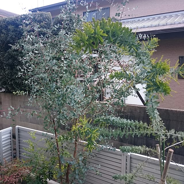 wakiwakinさんの実例写真