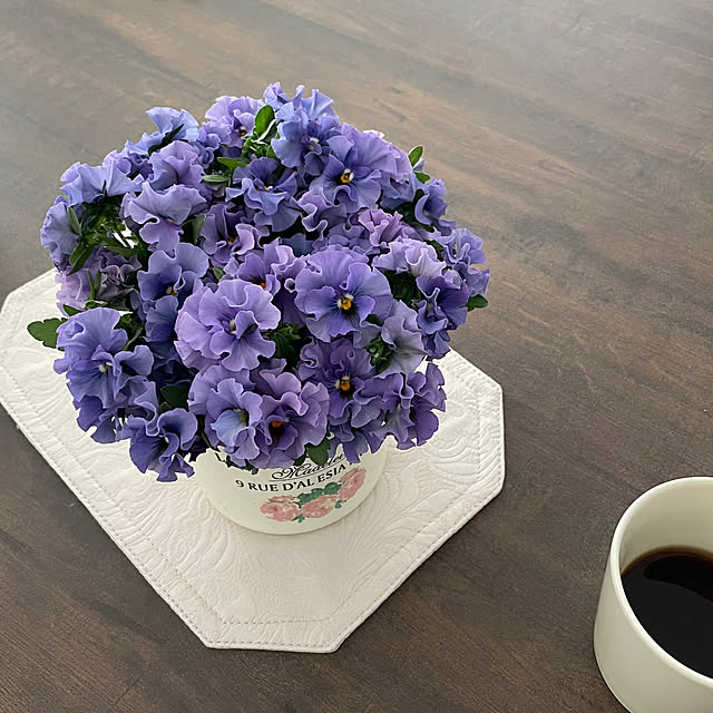 shiropenguinさんの部屋