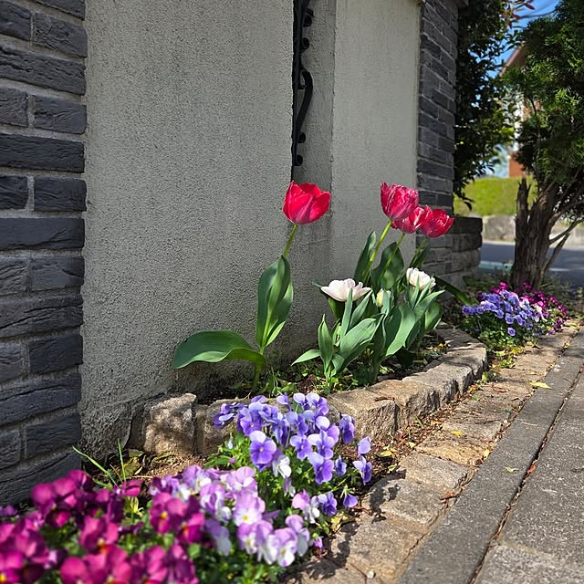 MARIE.color.interiorさんの実例写真