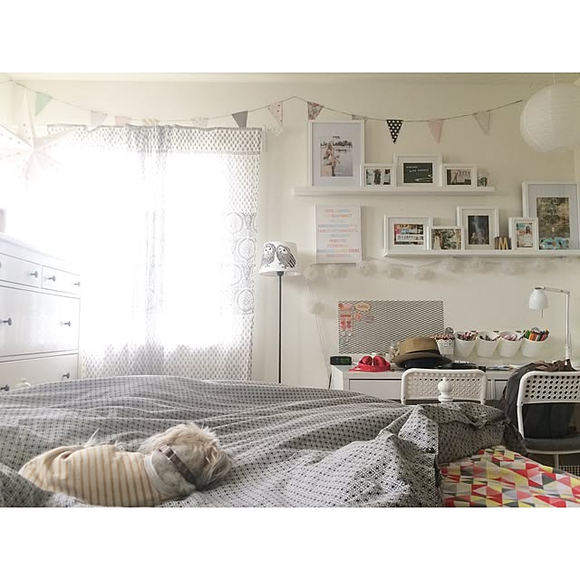 DailyRoomclip