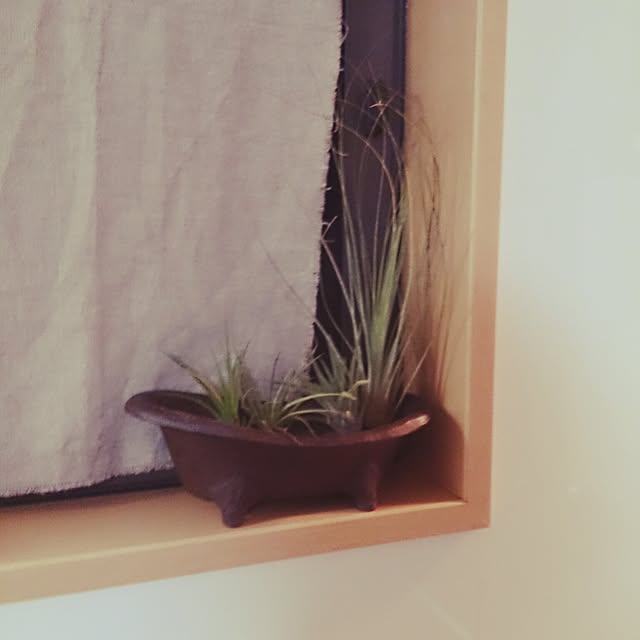 rikaさんの実例写真