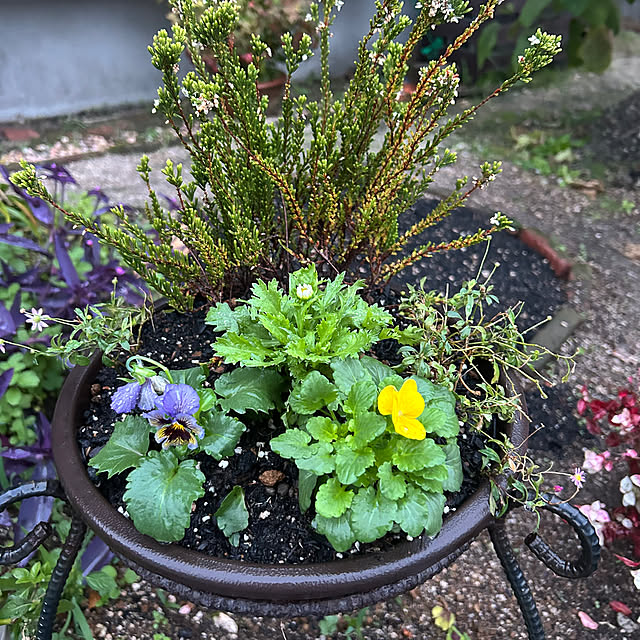 ritsukoさんの部屋