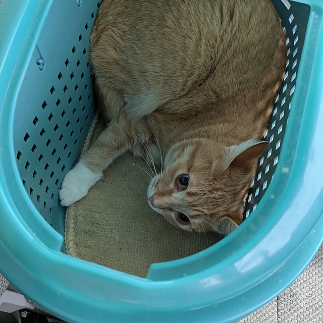 minnieさんの部屋