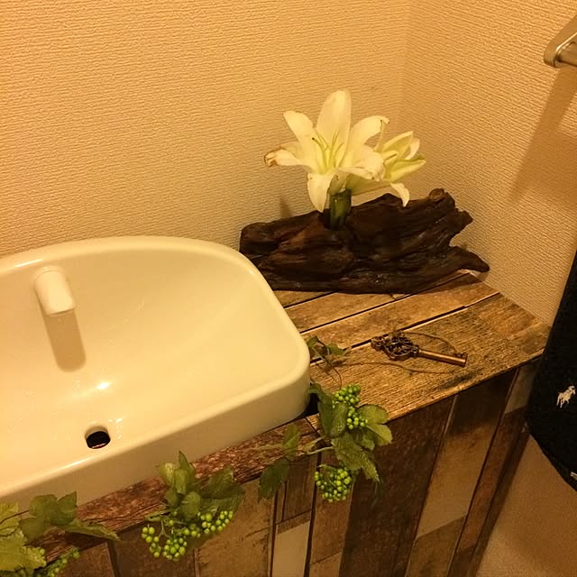 michanmichimichiさんの実例写真