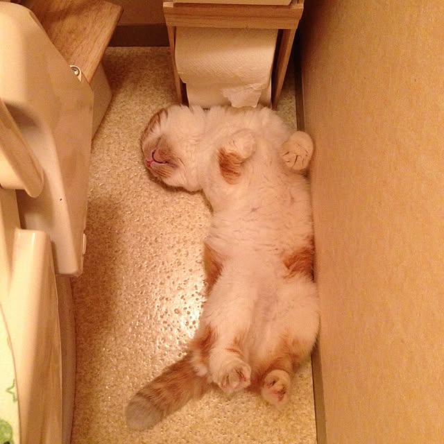 バス/トイレ/DIYのインテリア実例 - 2015-07-22 21:02:39