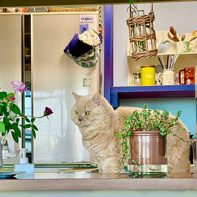 naokoさんの部屋