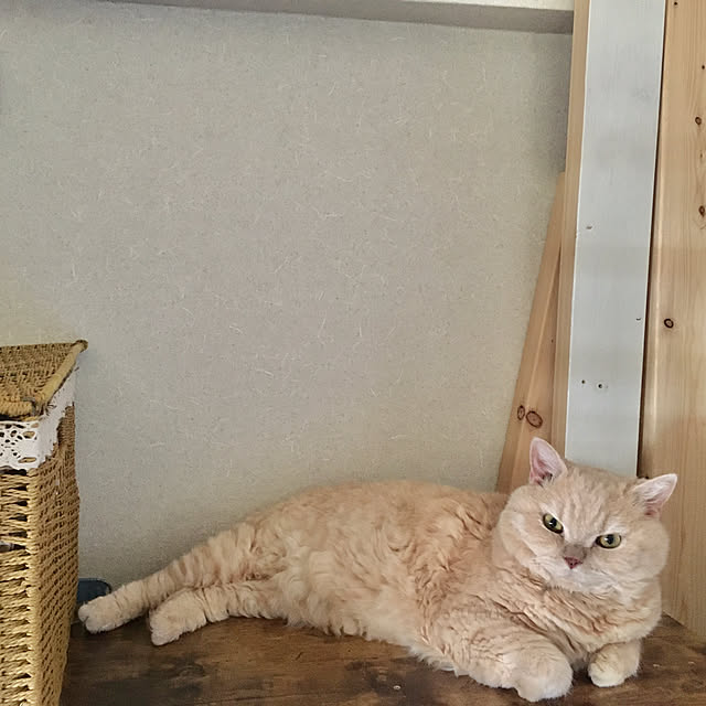 naokoさんの部屋