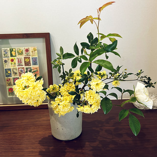 banbinaさんの部屋