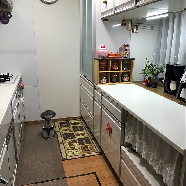 Kyocorinさんの実例写真