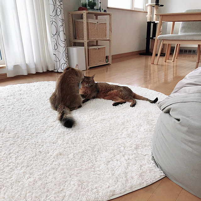 Yumiさんの実例写真