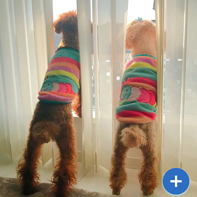 monokoさんの実例写真
