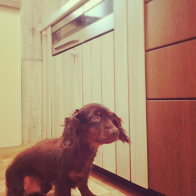 Mochaさんの実例写真