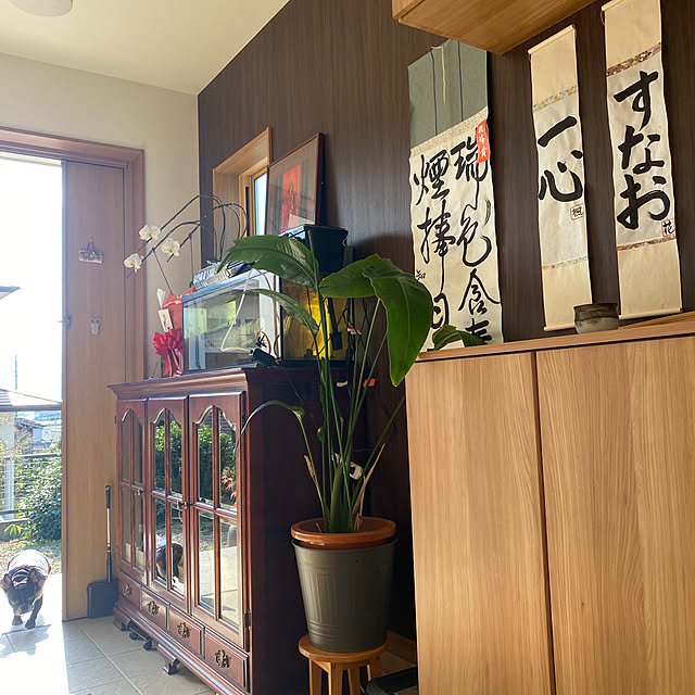 kotaroさんの実例写真