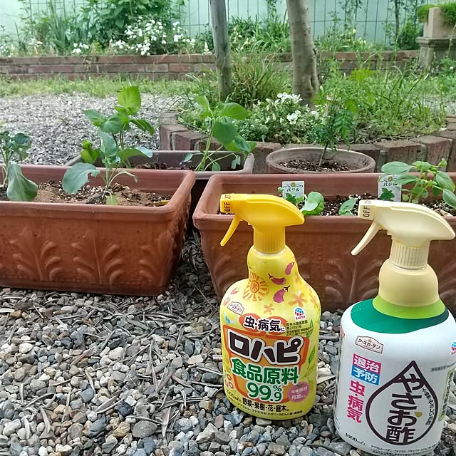 Rさんの実例写真