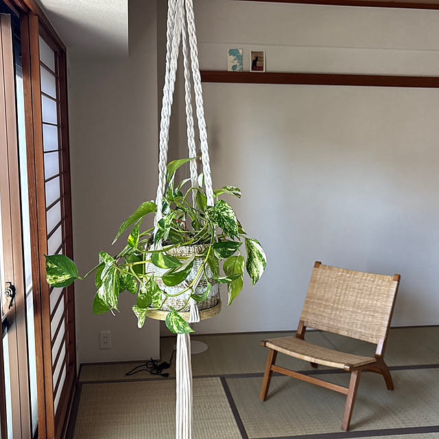 hokomaruさんの実例写真