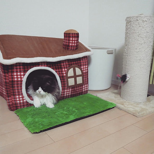 hiroshiさんの実例写真