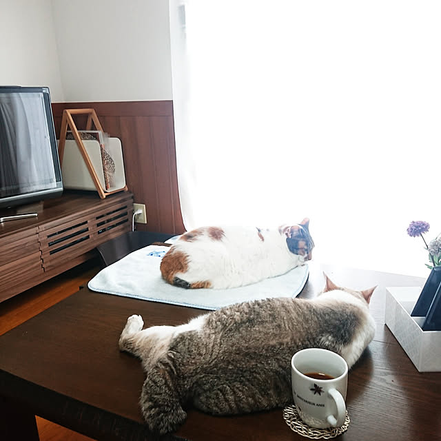 nachiさんの実例写真