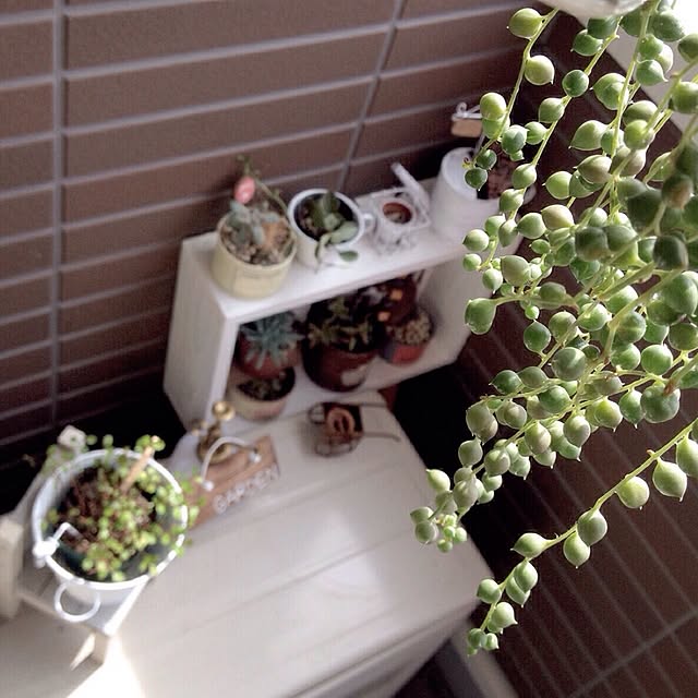 mayuringoさんの実例写真