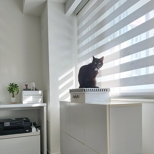 sakuraさんの実例写真