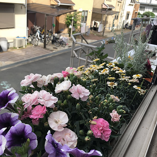 akinao2309さんの実例写真