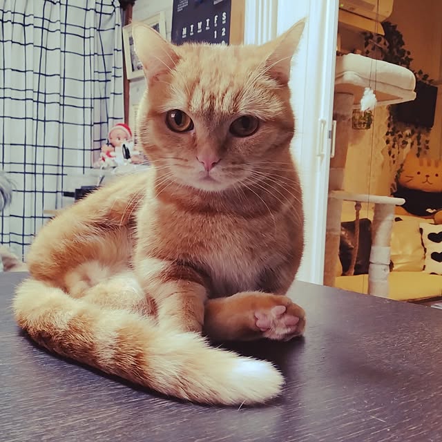 runaさんの部屋