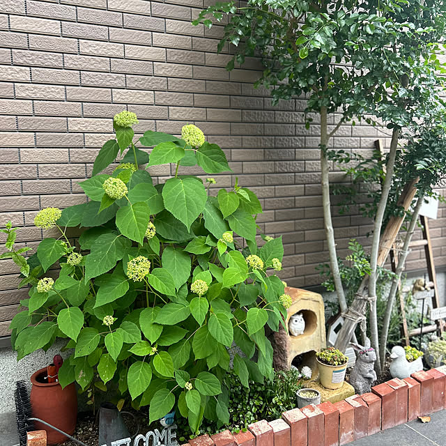 hinataさんの実例写真