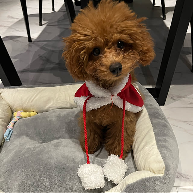 yumさんの実例写真