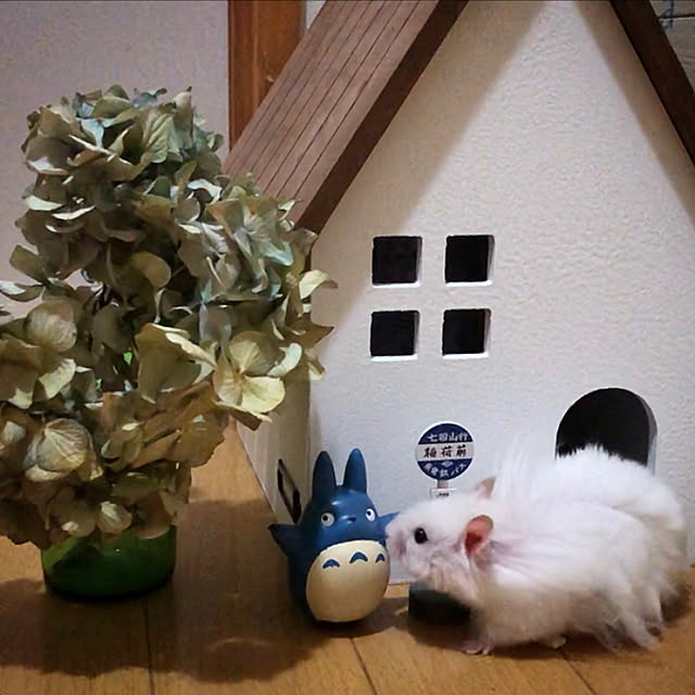 emiさんの実例写真