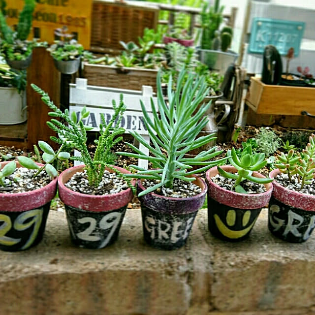 4KIDS.MaMaさんの実例写真