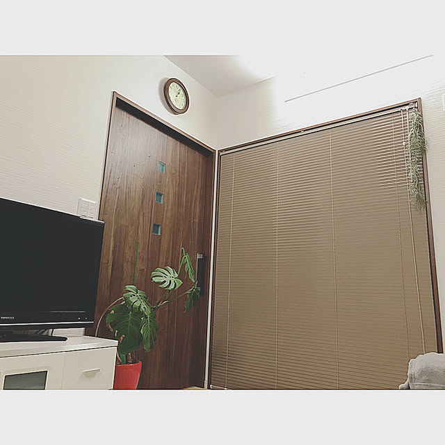 sayさんの実例写真
