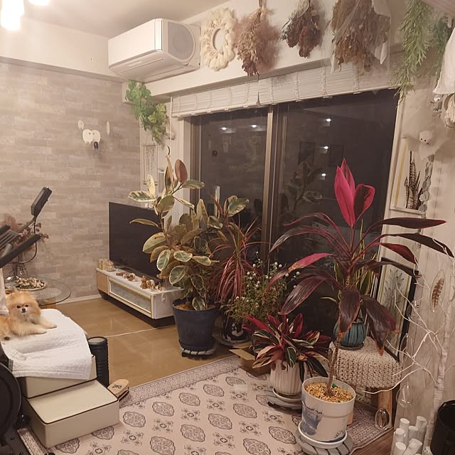 maikeru.3384さんの実例写真