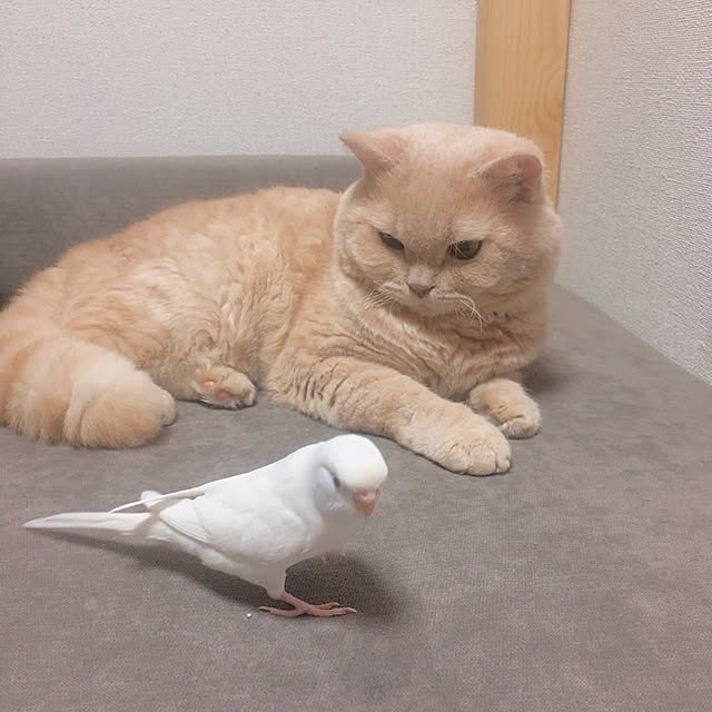 naokoさんの部屋