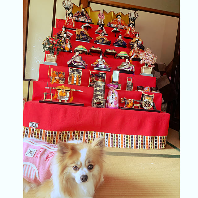 sakulaさんの実例写真