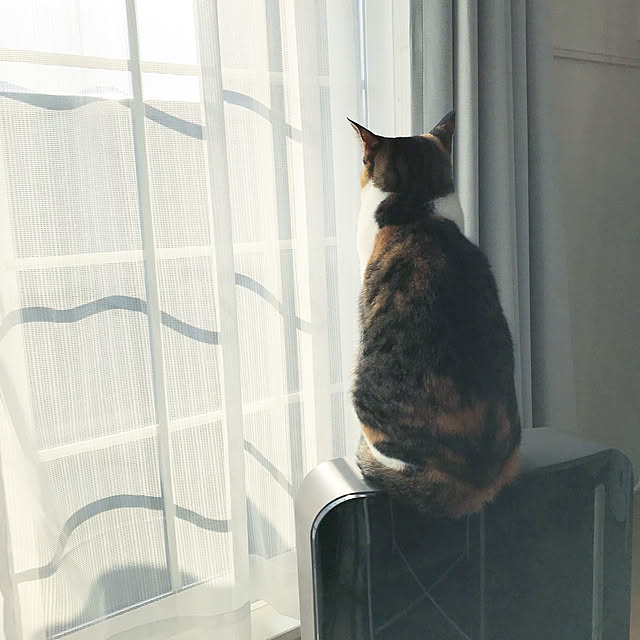 Kさんの実例写真