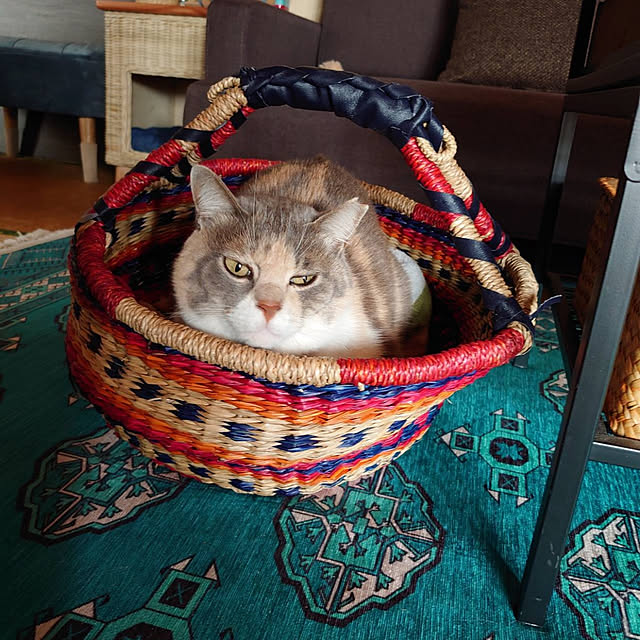 fukuさんの実例写真