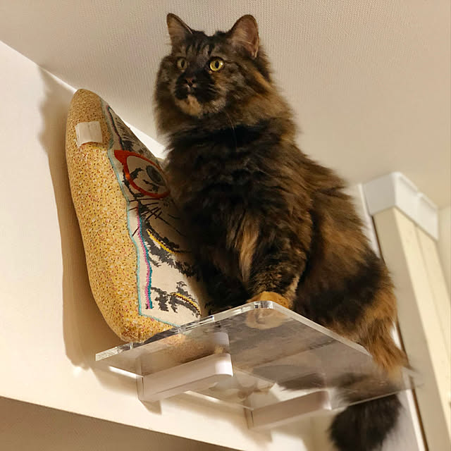 mikomaruさんの実例写真