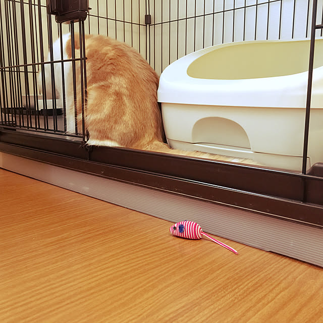 Heiwardさんの実例写真