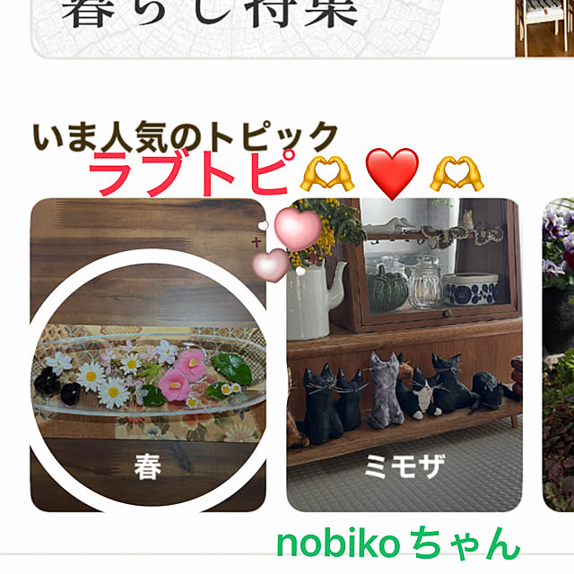 ritsukoさんの実例写真