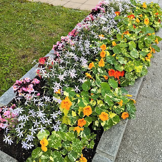 kiraさんの部屋
