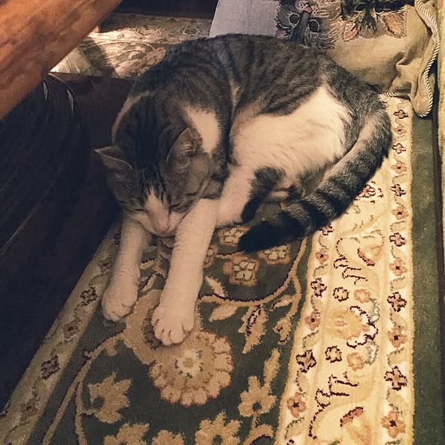 emmyyさんの実例写真