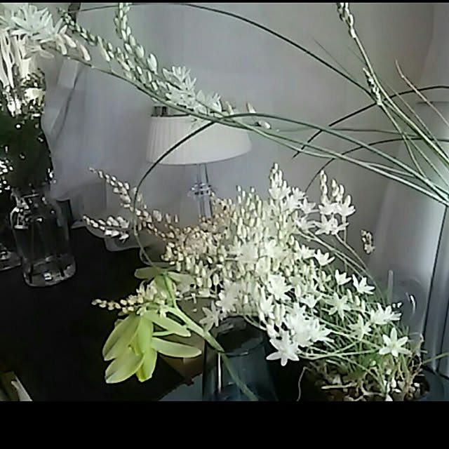 spinetailさんの実例写真