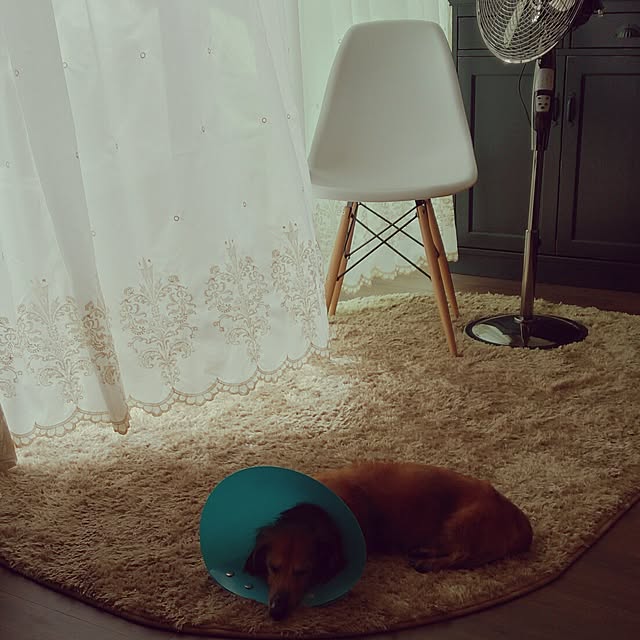 and-Nさんの実例写真
