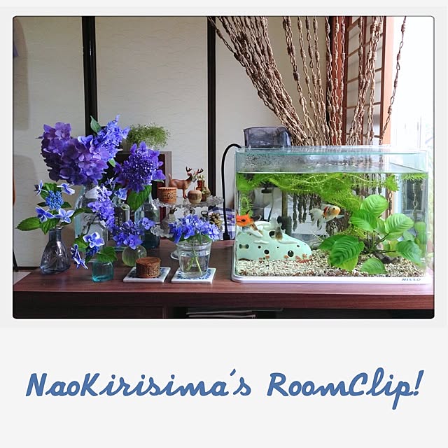 naokirisimaさんの実例写真