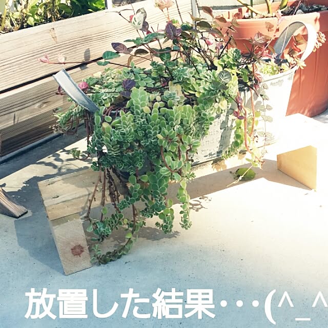 rocoさんの実例写真