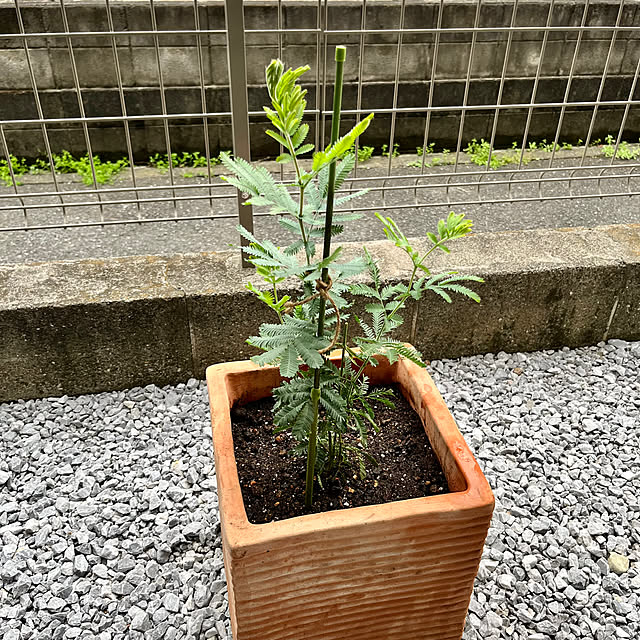 hananokaoriさんの実例写真