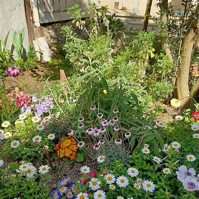 scrapheaven55さんの実例写真