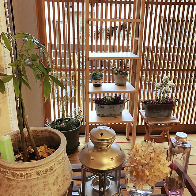 aki_wrappinさんの実例写真