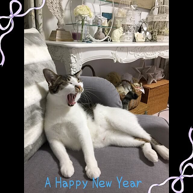 yuchiさんの実例写真