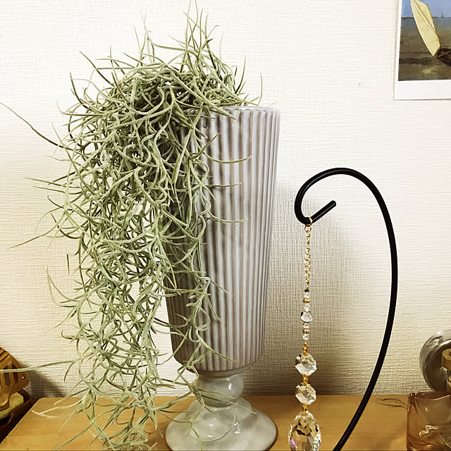 coroさんの実例写真