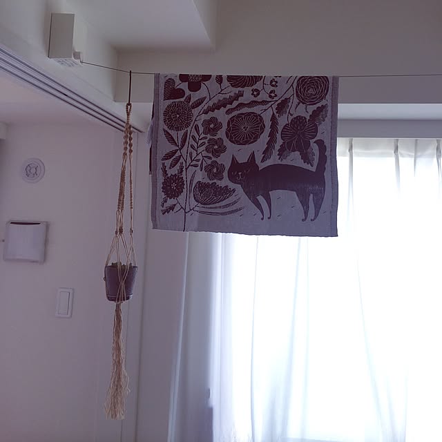 mikomaruさんの実例写真